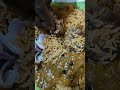 😋😋 பிரியாணி நாலே செம ருசி தான் ... #foodie #happiness #enjoy #foodlover #enjoyment #tasty👌👌👌😋😋❤️💘😍😋