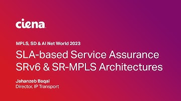 SLA-based Service Assurance for SRv6 and SR-MPLS Architectures