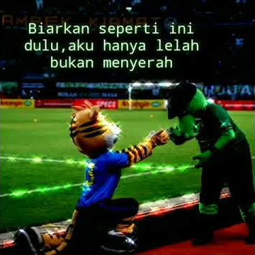 Story wa 16 detik//maskot persib bandung dan persebaya surabaya