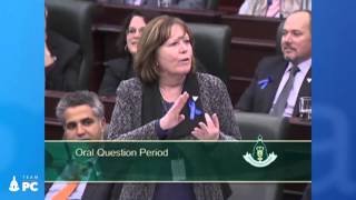 Richard Gotfried Question Period - Nov 19, 2015
