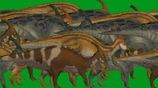 Parasaurolophuss Back Walking Hd Green Screen Blue Screen Black Screen Video