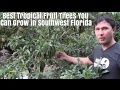 25-Year-Old Soursop Trees in the Florida Keys (Part 1 of 2 ...