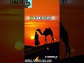 Hazrat Sa‘id ibn Zaid (RA) | One of the 10 Promised Jannah | Powerful Islamic Reminder