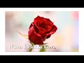 "When I Fall In Love" by Nat king Cole ~AI Music Video~
