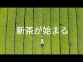 新茶が始まる 2022Ver.