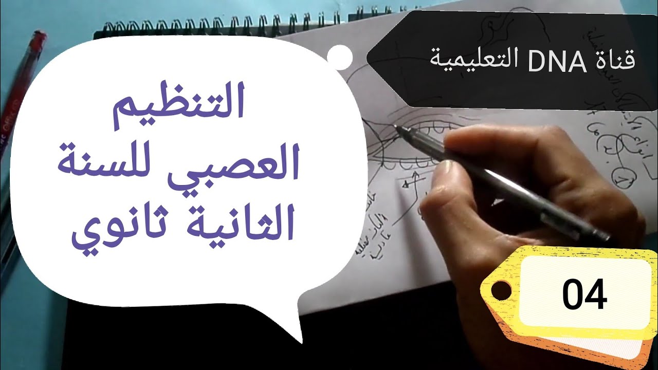 التنظيم العصبي 2 ثانوي