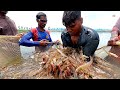 PRAWN/SHRIMP HARVESTING