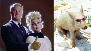 The Controversial Reason That Took GREEN ACRES Off The Air