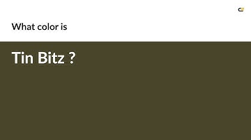 Tin Bitz color #48452b hex color - Yellow color - Cool color 48452b