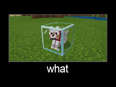 Minecraft wait what meme part 14