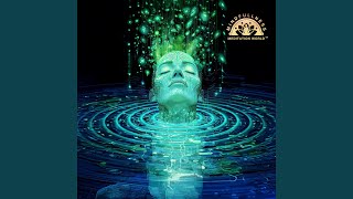 Echoes of Awareness