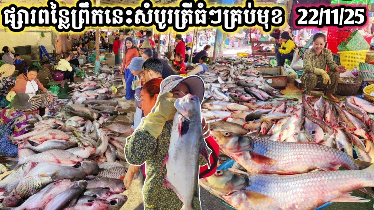 ផ្សារពន្លៃ ថ្ងៃនេះនៅតែសម្បូរត្រីធំៗ ត្រីធម្មជាតិគ្រប់មុខ... || TAT SOKKΕΑ - ΚΗ [Ep. 1092]