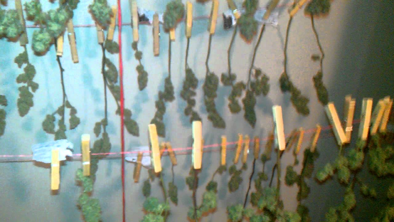 Drying cannabis