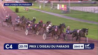 Vidéo de la course PMU PRIX L'OISEAU DU PARADIS