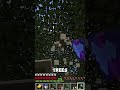 Ironyof #minecraft #minecraftshorts #minecraftjava #gaming #minecraftsurvival #minecrafthardcormode