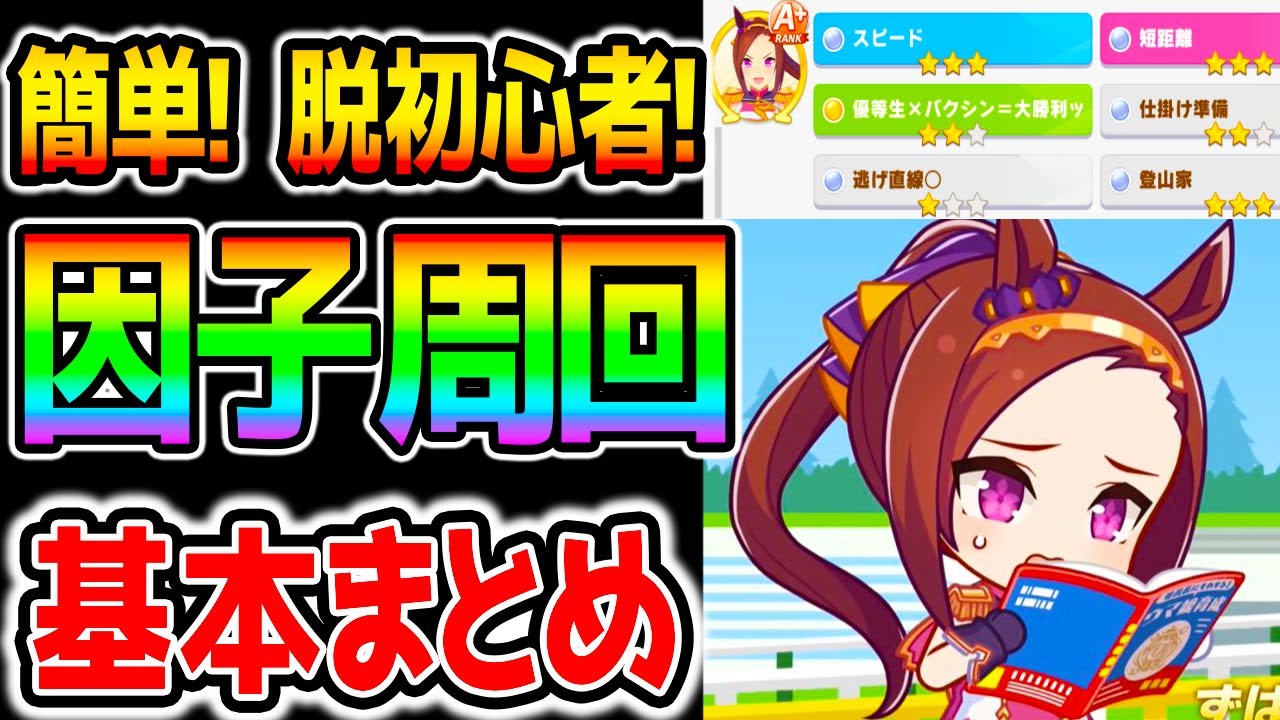 ウマ娘 初心者にも 因子周回やり方 ウマ娘の基本解説 ステータスの意味 赤因子知識 白因子知識 重要スキル Etc のっちんtv ウマ娘プリティーダービー攻略まとめ フクキタル性能動画上げてます Youtube