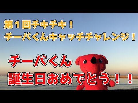 【不思議探検チーバ隊】チーバくん誕生日おめでとう！チーバくんキャッチチャレンジ！【Charat-きゃらっと-/踊ってみた】