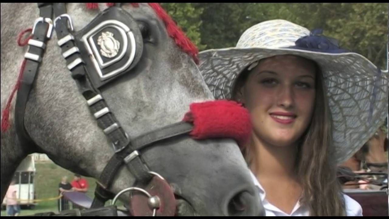 Konji ponovo jure 978