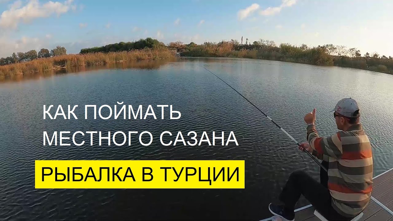 Рыбалка в Турции/Опасная рыба баллон и местный карась/Удочка для путешествий/ЧЕШУЯ МОЯ