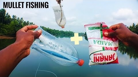 Amazing Mullet Fish Catching in Bottle | Amazing trick to catch MULLET FISH in BOTTLE TRAP | MULLET