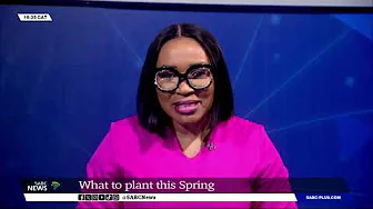 Gardening | What to plant this Spring: Cherise Viljoen thumbnail