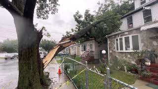 Tropical Storm Henri - Tree Falls on Queens Home