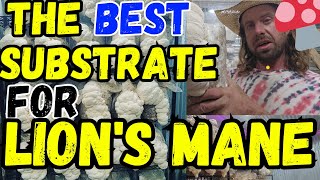 🍄The BEST Substrate For Lion's Mane Mushrooms!💥#MushroomFarmer #Mushrooms #Fungi #Mycology