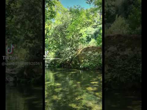 عتابا يا دكتور تدوي الجرح سكنو اكسبلور