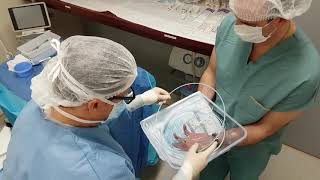 Presentation of venaseal technology