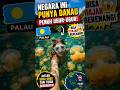 Negara dengan Danau Penuh Jutaan Ubur-Ubur! 🪼🇵🇼 #faktaunik #faktaunikdunia #faktamenarik #palau