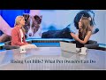 Rising Vet Bills &amp; Changing Client Relationships | Dr. Marie Holowaychuk on CTV Your Morning