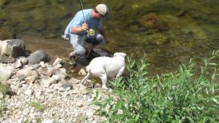 HOPPER FLY-FISHING POUDRE RIVER