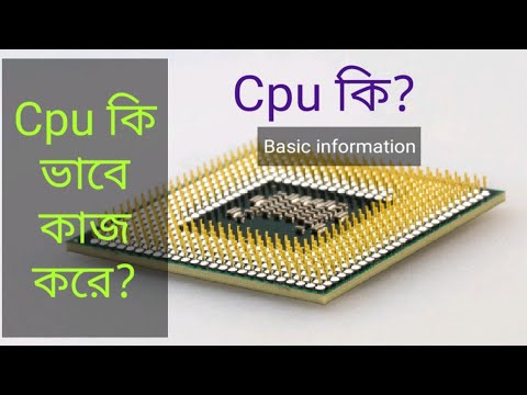 ভিডিও: সিপিইউ এর কাজগুলো কি কি?