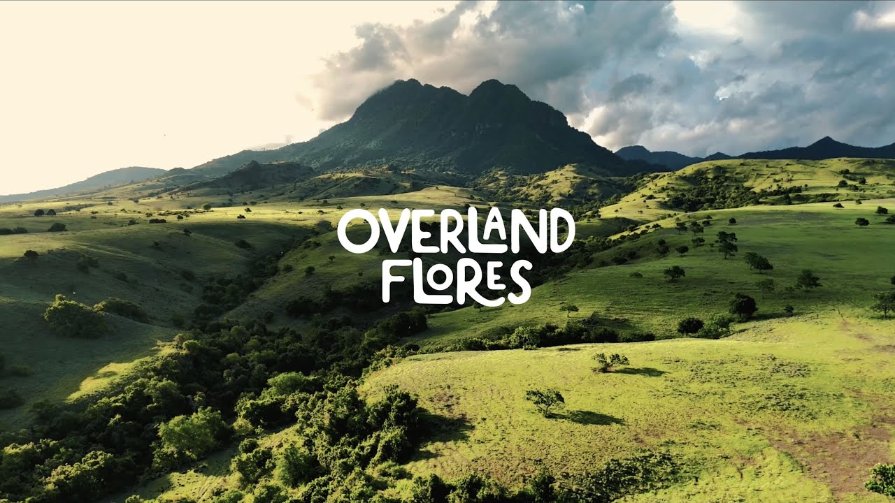Overland Flores #3 | Explore Savana Mausui, Bukit Avatar, Bukit Wolobobo dan Danau Ranamese