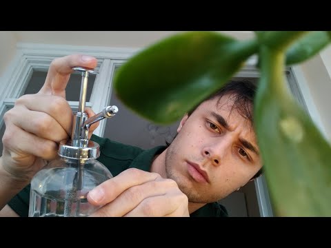 ASMR Plant Enthusiast Takes Care Of You (Trimming, Watering, Deworming You)