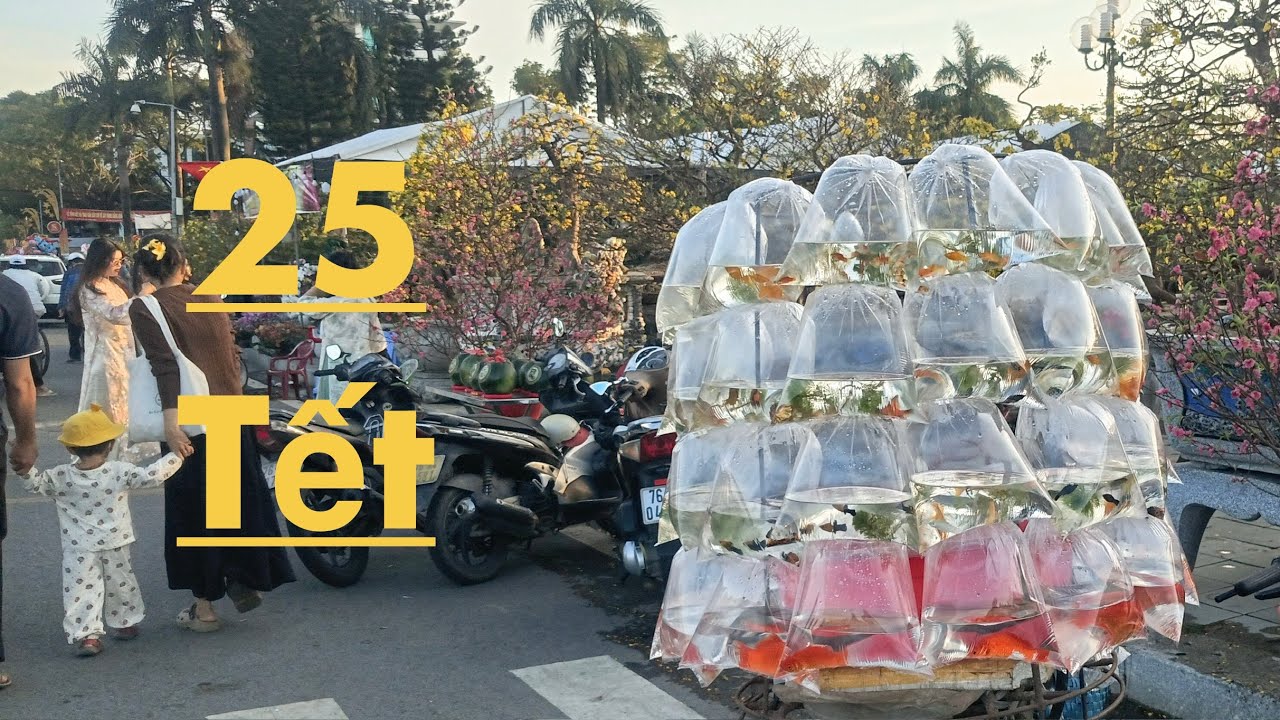 Công Viên Phạm Văn Đồng 25 Tết