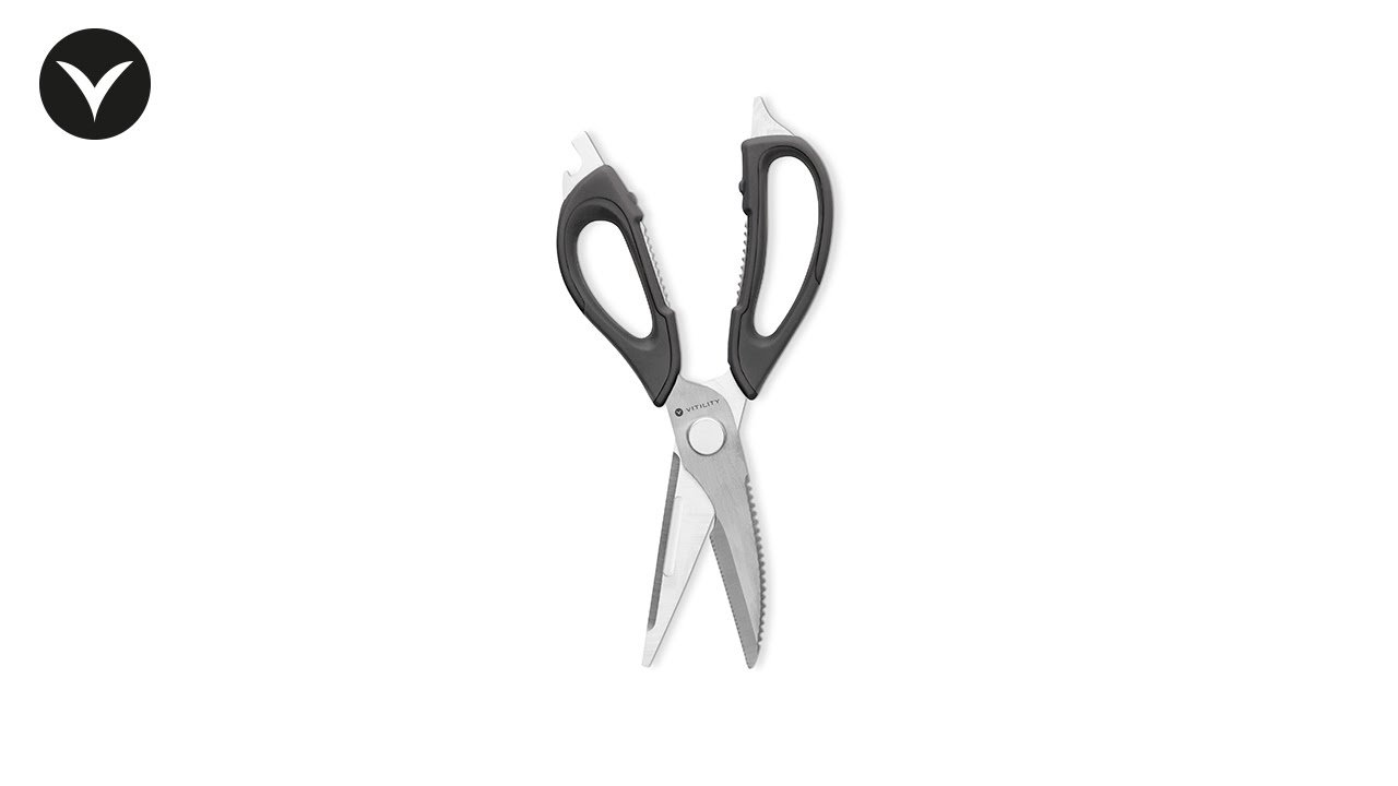 Toolworx Professional Multi-Purpose Scissors TX25341 – The Wax Connection