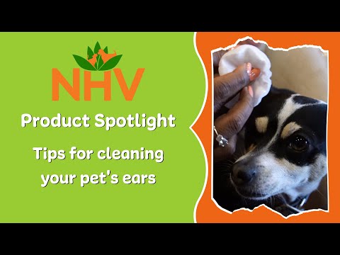 Tips For Cleaning Your Pet&#039;s Ears