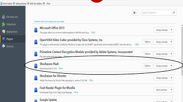 Shockwave Flash Crash Firefox Fix