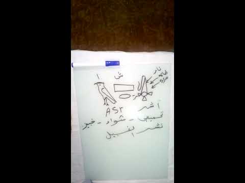 اللهجةالصعيدية لفك الرموز الفرعونية المصرية القديمة تابع رمز العقاب