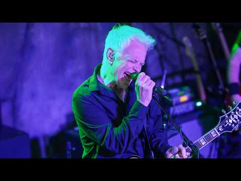 The Wedding Present - Montreal (Live on KEXP)