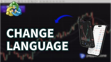 How to Change Language in MetaTrader 5 2025?