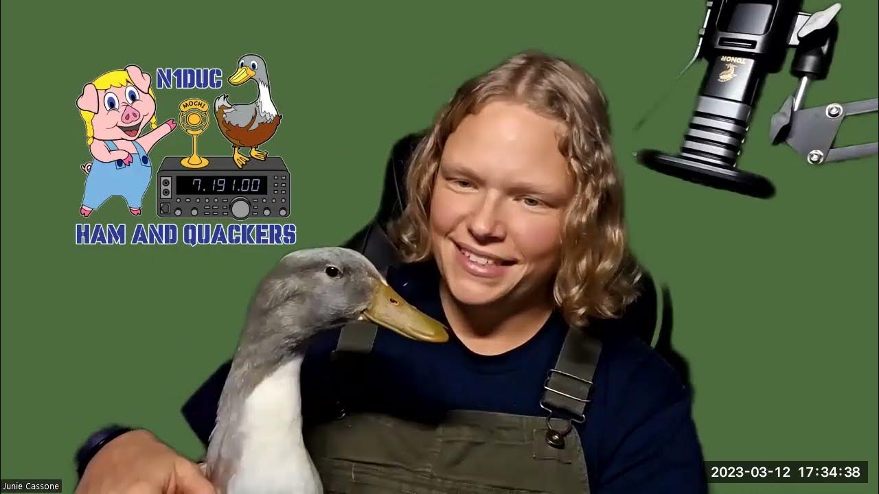 Welcome to Ham And Quackers with Junie - N1DUC! - YouTube