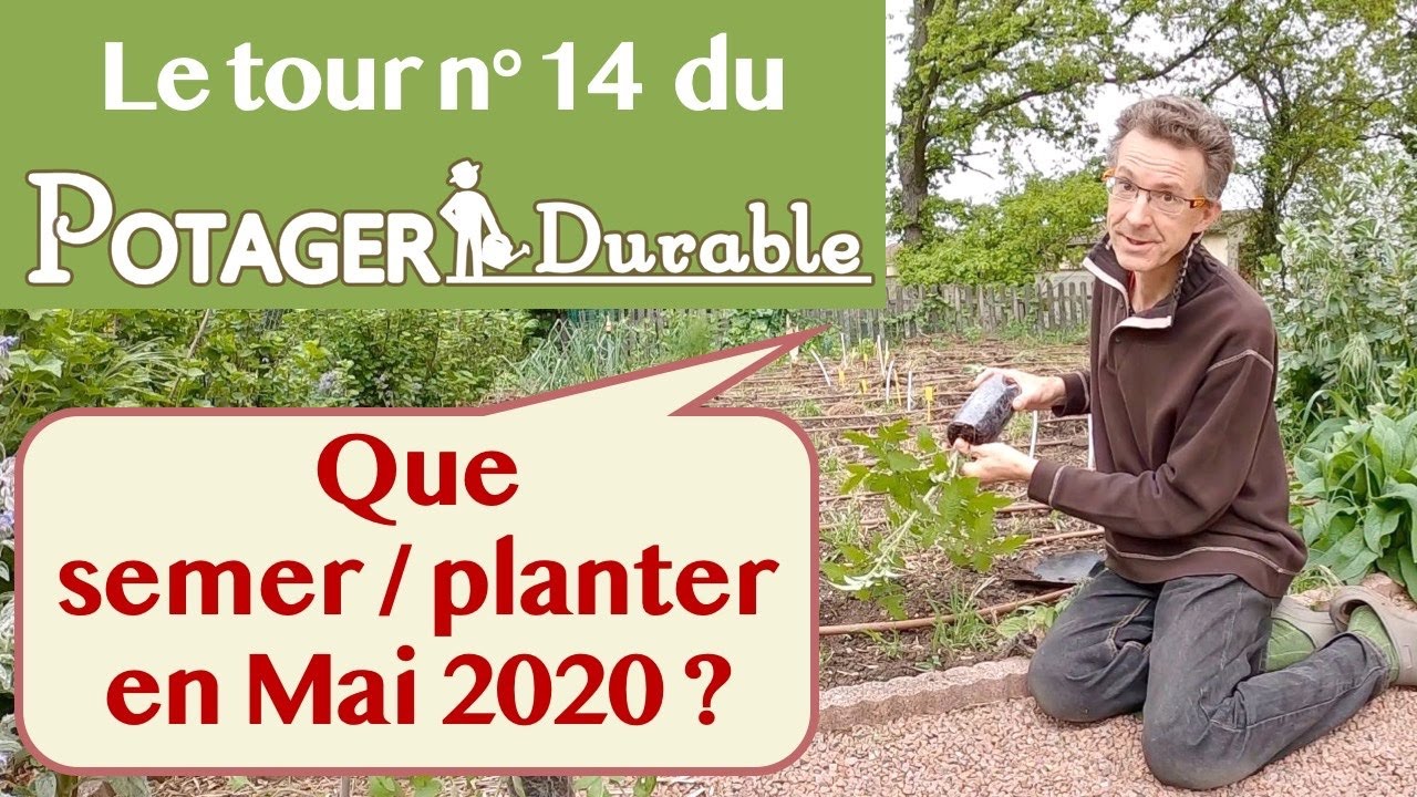 Que semer ou planter en mai 2020 au potager ?