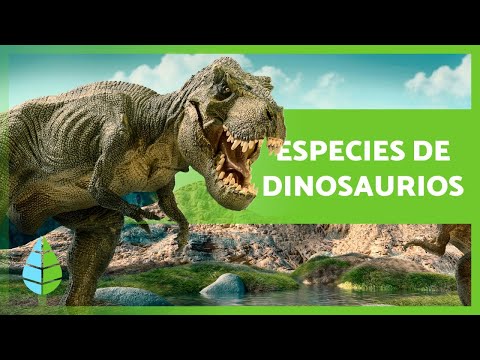 Video: Todos los tipos de dinosaurios con nombres, su descripción