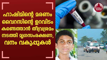 Nipah | ഹാഷിമിന്റെ മരണം; വൈറസിന്റെ ഉറവിടം കണ്ടെത്താന്‍ തീവ്രശ്രമം നടത്തി മൃഗസംരക്ഷണ, വനം വകുപ്പുകള്‍