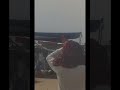 Kot qaisrani mandhi