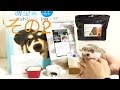 【その2】ハリネズミの飼育に必要なもの