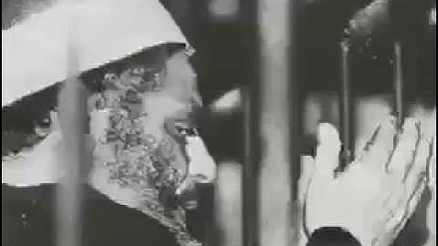 تلاوة خاشعة للشيخ عمر عبد الرحمن