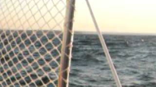 PY23K Paceship 23 sailing st-laurent